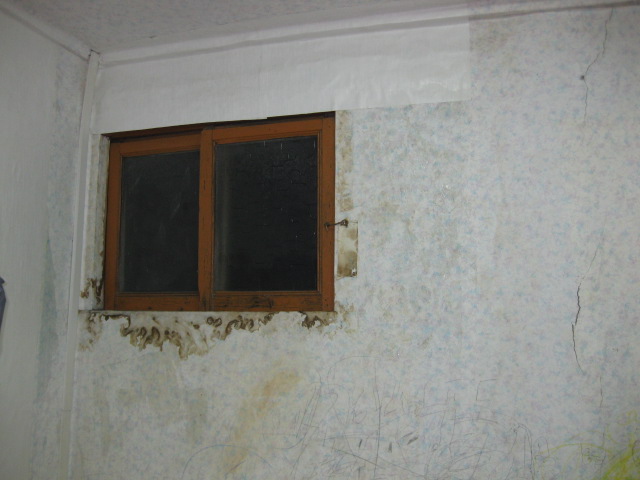 IMG_3725.jpg