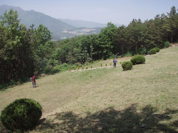 P5050182.JPG