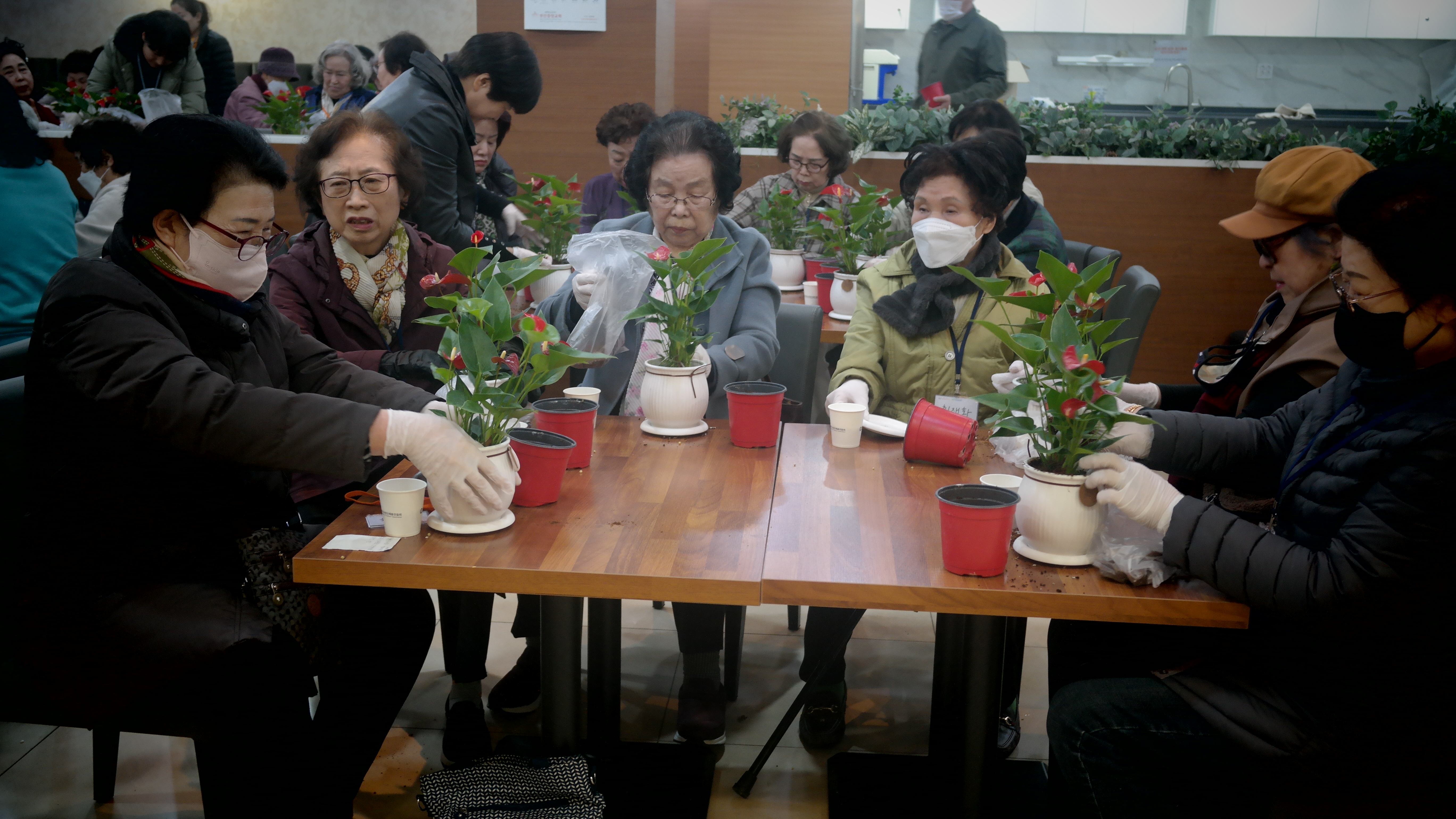13.JPG : 2024년 시니어 아카데미 개강