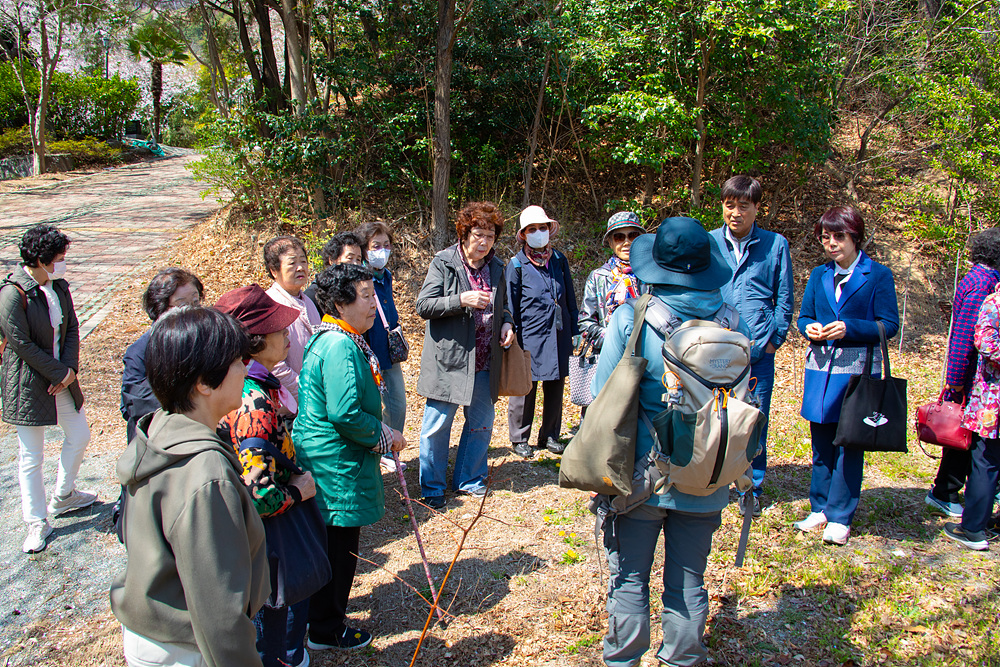 숲체험 (1).jpg
