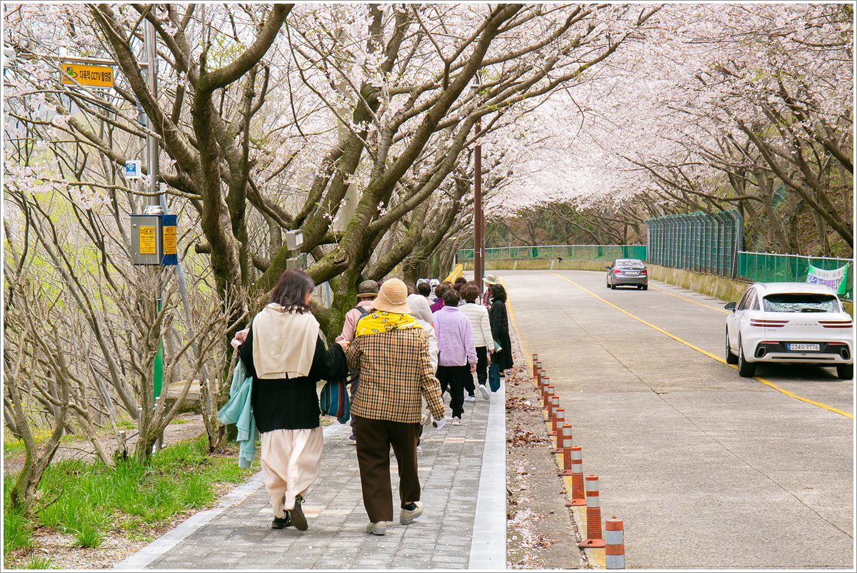 KakaoTalk_20240404_135839840_11.jpg : 시니어 아카데미 4회차