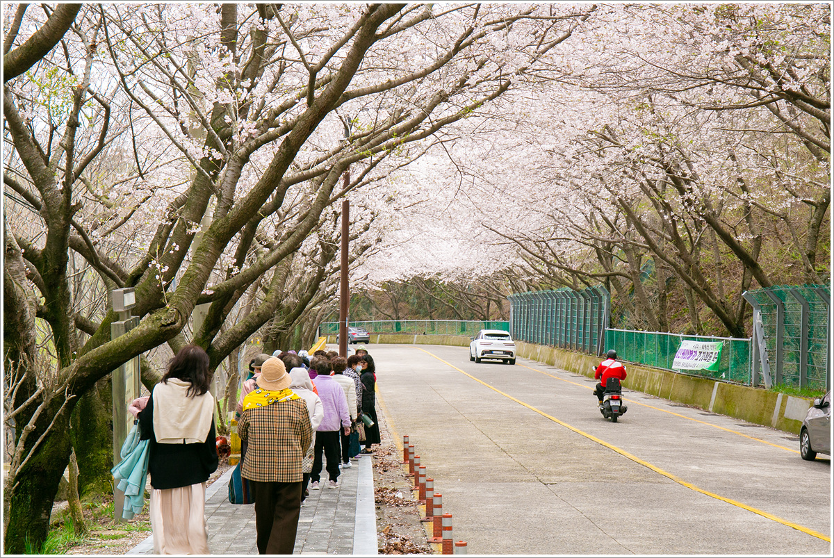 KakaoTalk_20240404_135839840_12.jpg : 시니어 아카데미 4회차