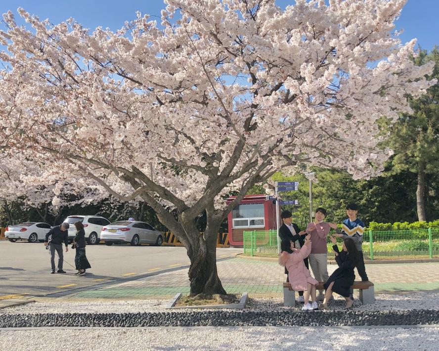 KakaoTalk_20190331_182021045_04.jpg