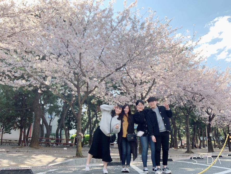 KakaoTalk_20190402_211447494.jpg