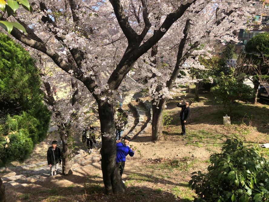 KakaoTalk_20190331_180559456_05.jpg
