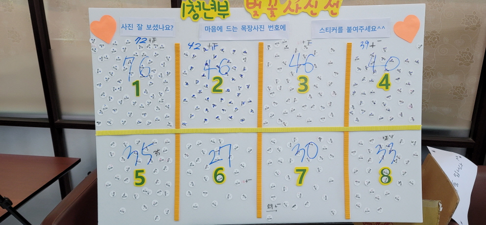 일괄편집_KakaoTalk_20230418_142157396.jpg : 1청년부_벚꽃사진 컨테스트^^