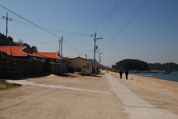 DSC_5067.jpg