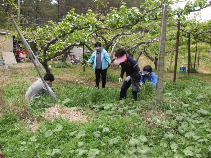조이 만나팀 특별한 나드리 032.jpg