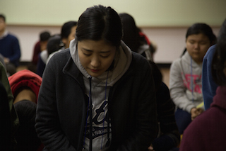 _MG_0481.jpg