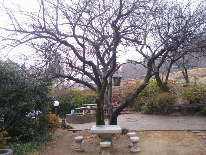 P1010037.JPG