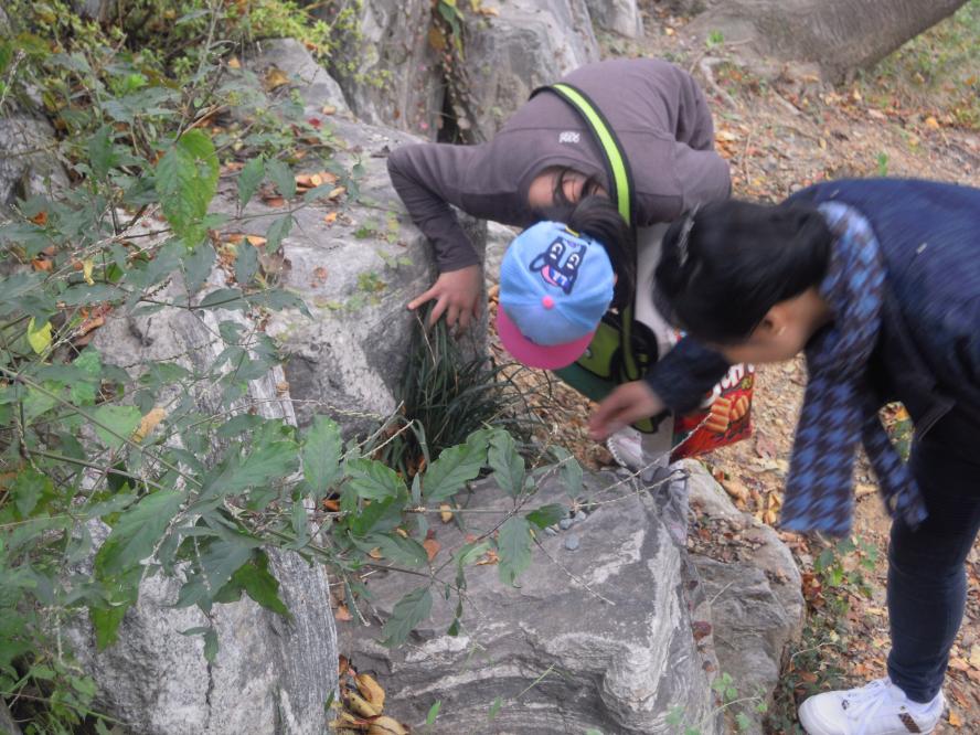 DSCN7920.JPG