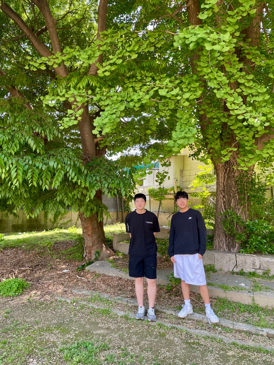 KakaoTalk_20250510_191715431_03.jpg