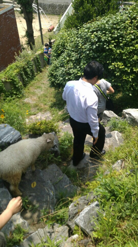 KakaoTalk_20160619_222403458.jpg