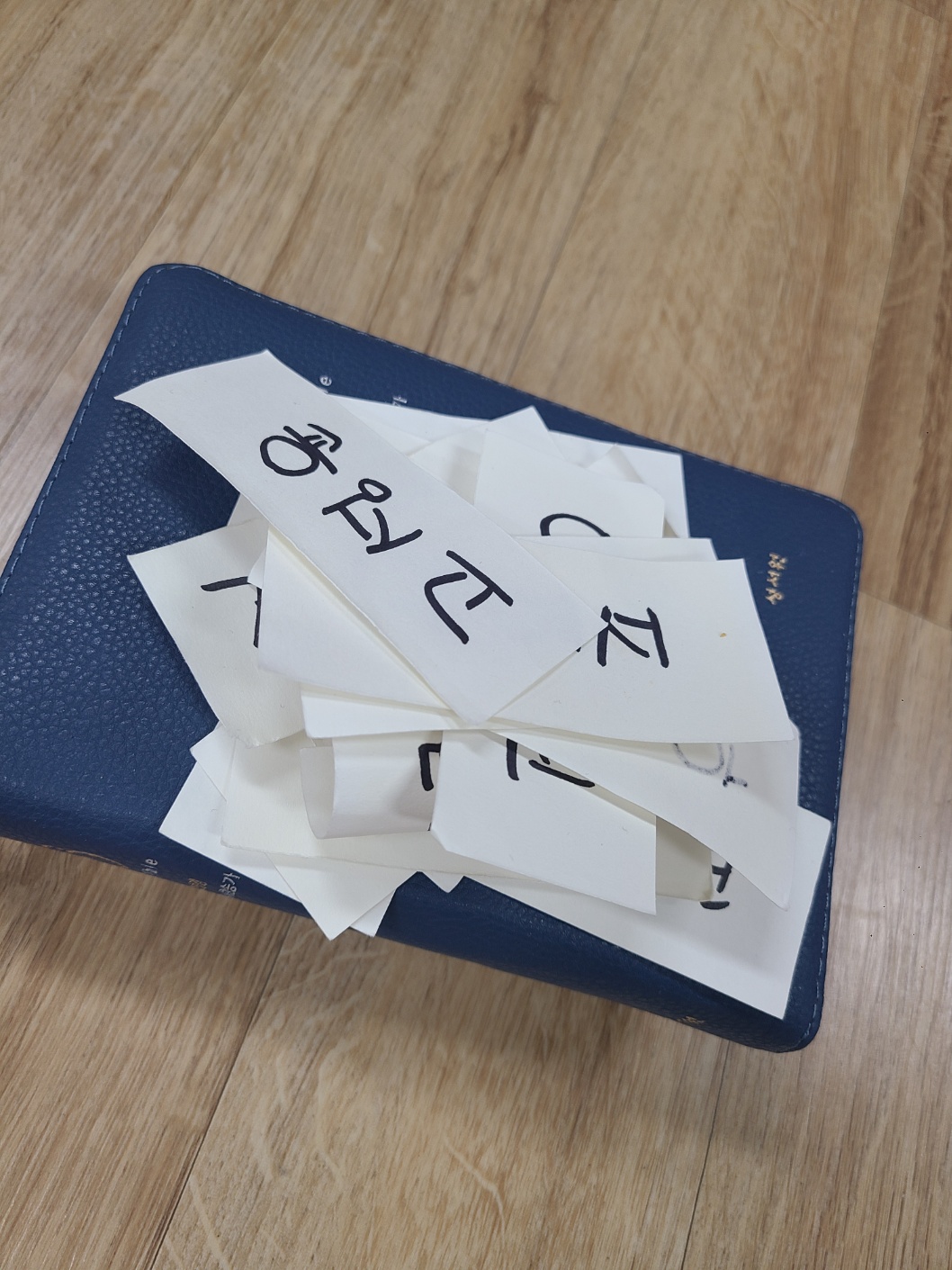 KakaoTalk_20231009_150417615_01.jpg