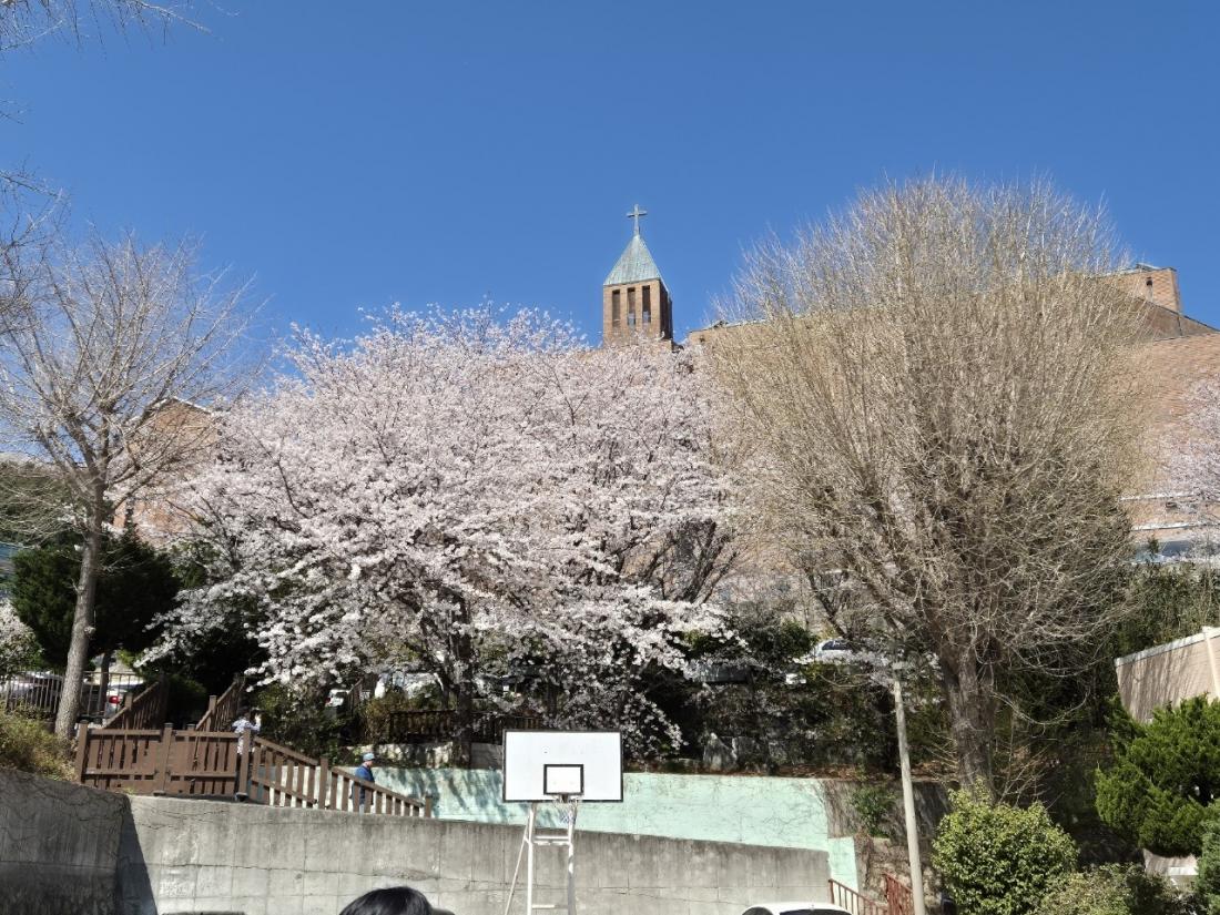 KakaoTalk_20250515_154205797_18.jpg