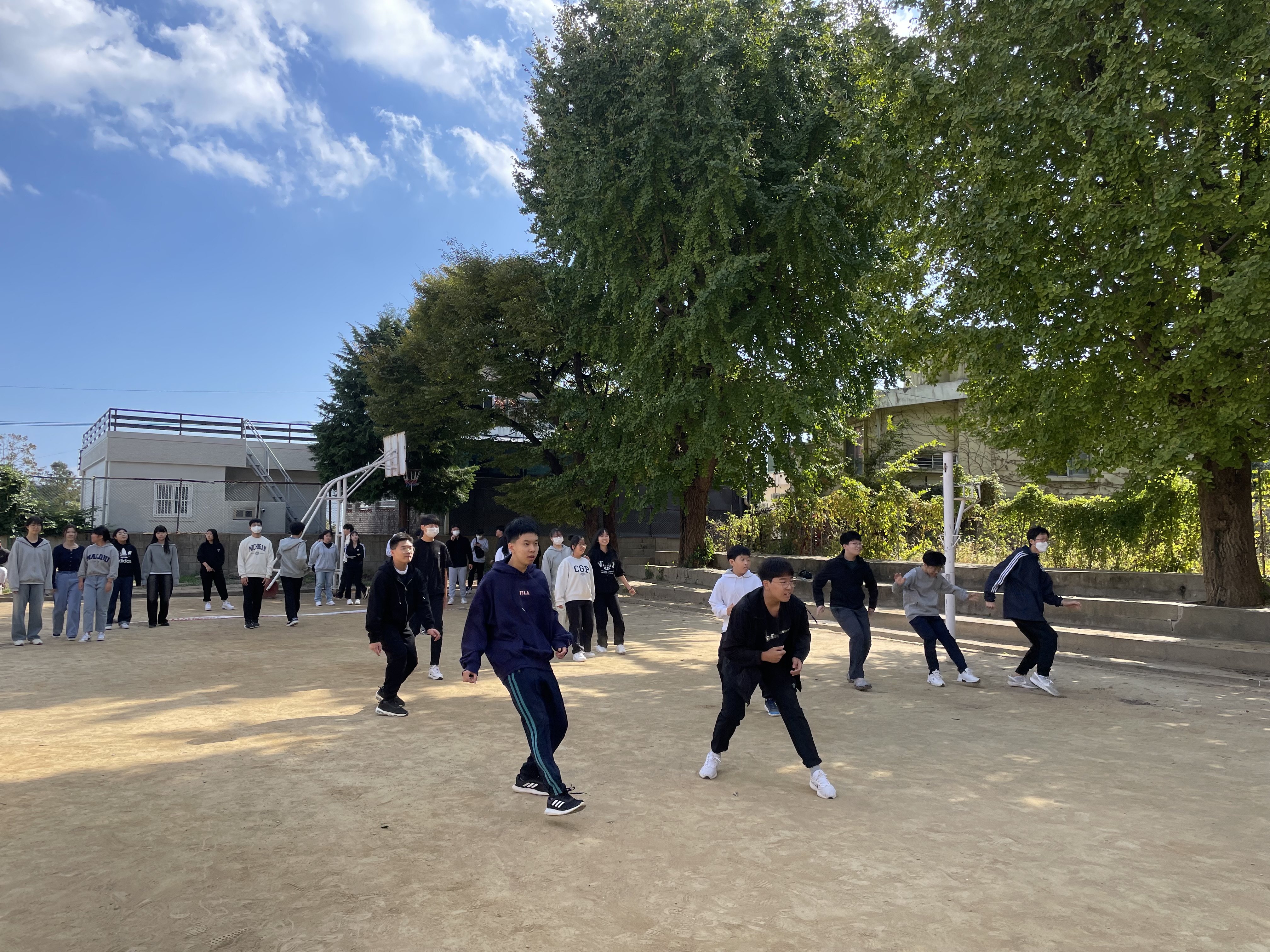 IMG_7516.jpeg