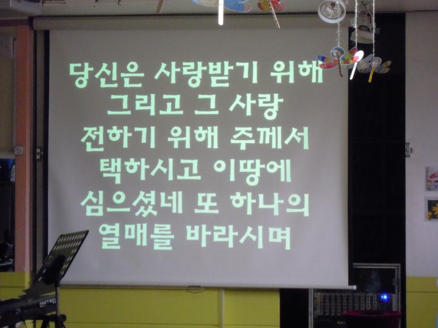 DSCN8113.JPG