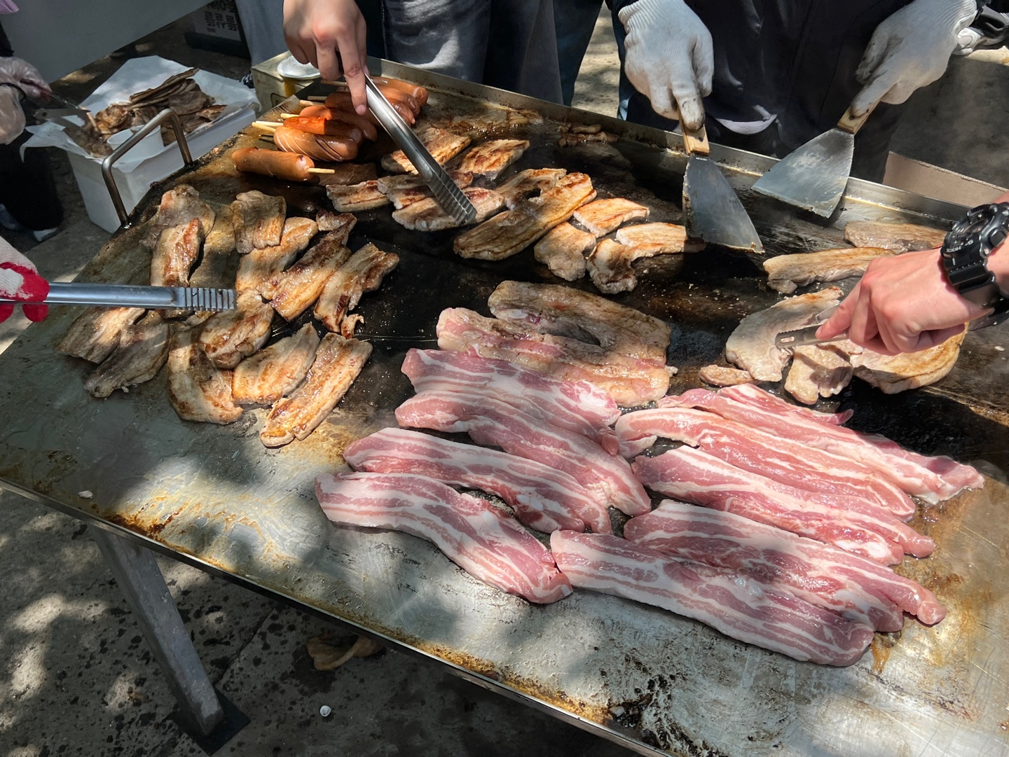 IMG_6205.jpeg