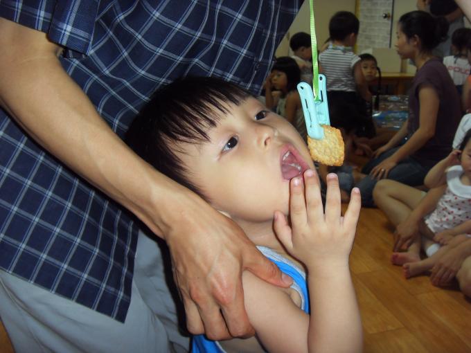 SDC13620.JPG