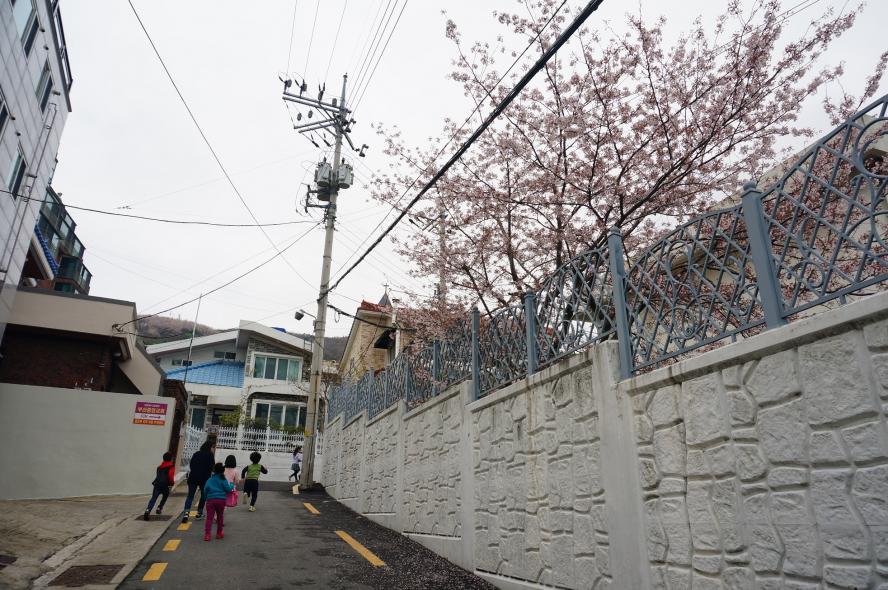 유년부37.jpg
