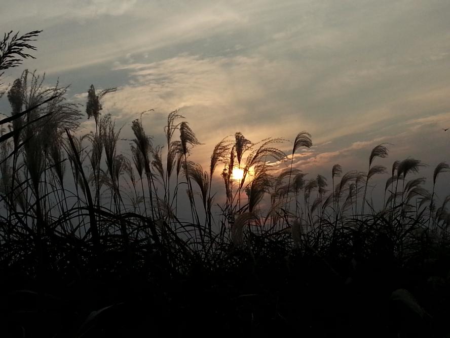 20131102_164747.jpg