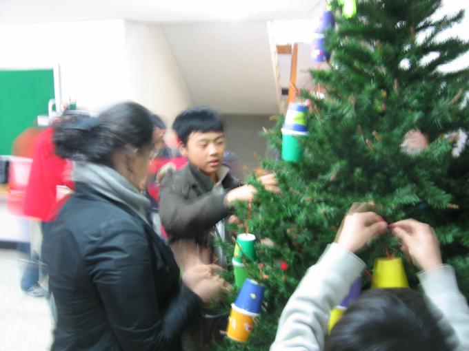 새생명나무4.jpg