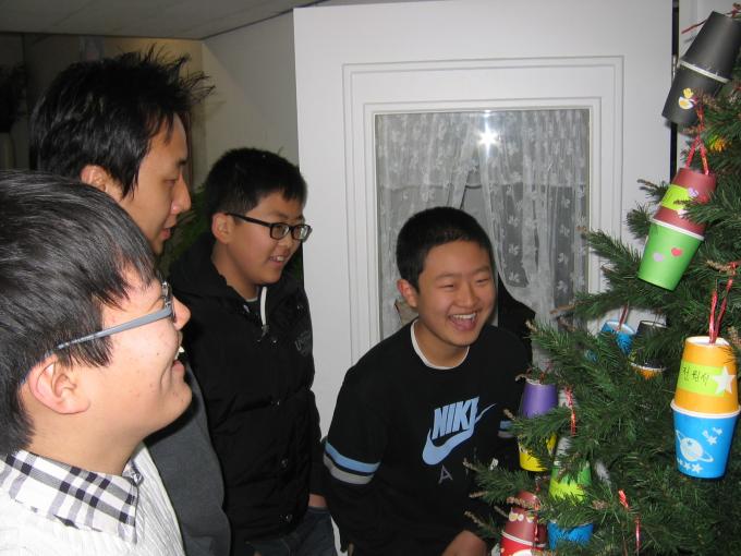 새생명나무5.jpg