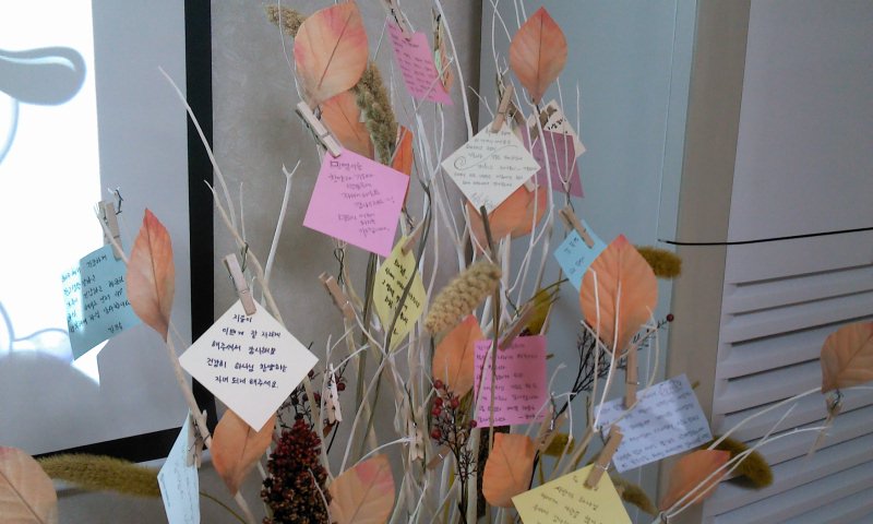 2011-11-20 11.31.46.jpg