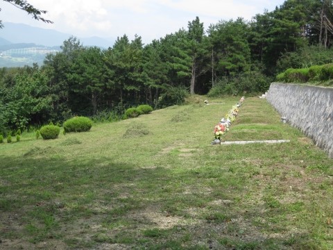 %B7979~1.JPG