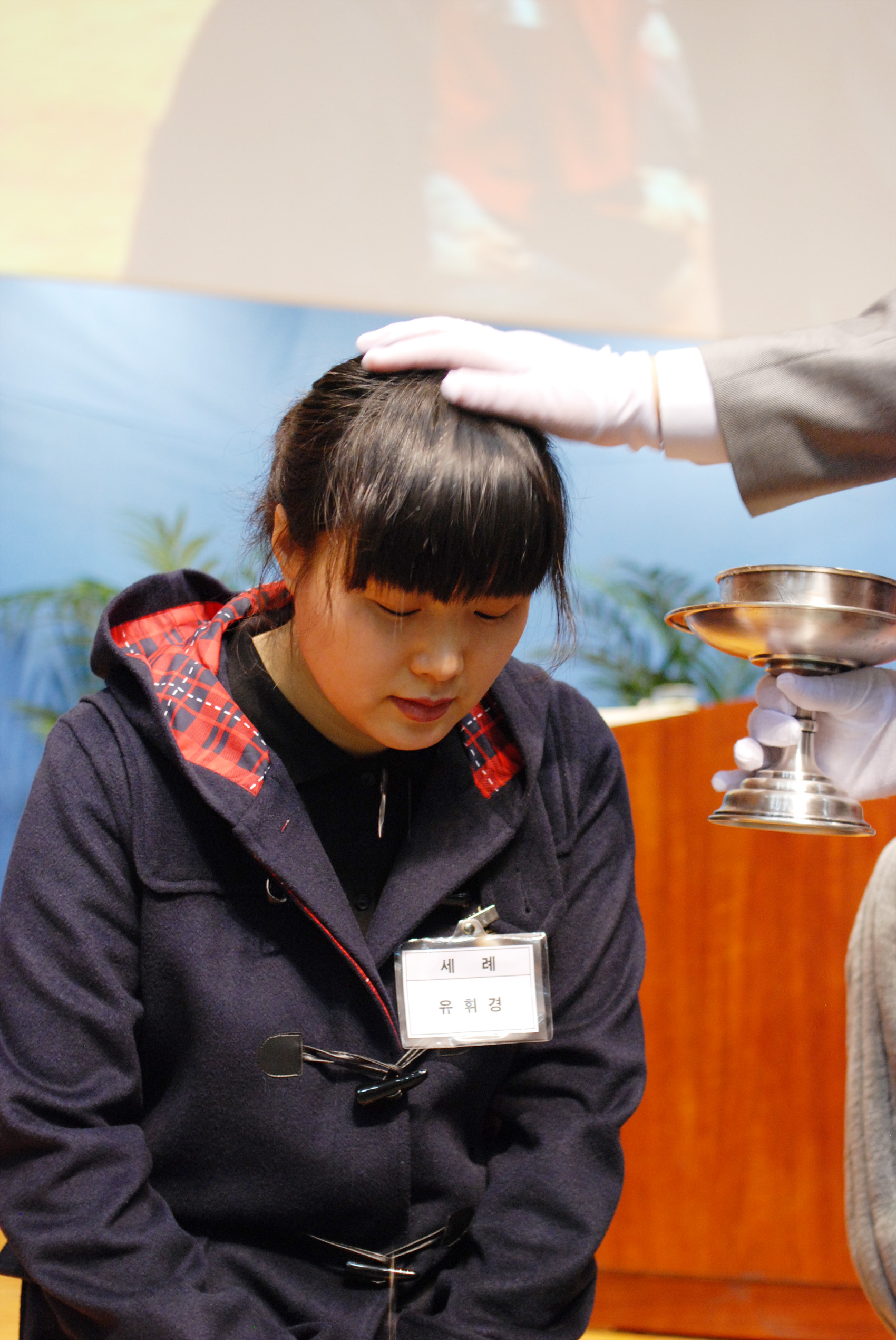 DSC_4816c.jpg