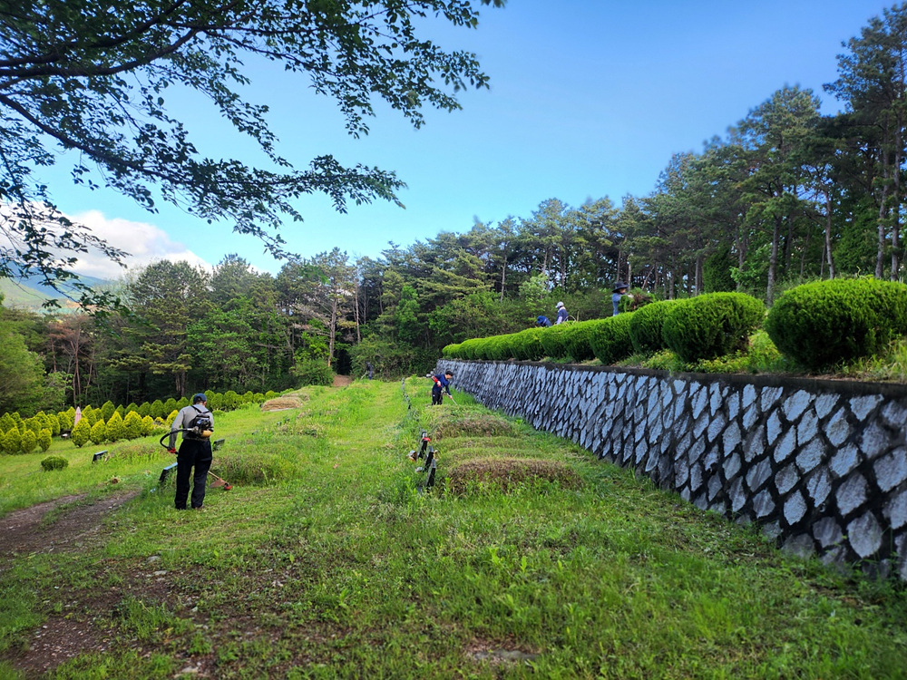 부활동산 벌초(3).jpg