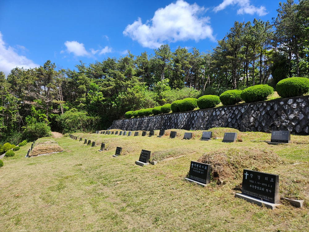 부활동산 벌초(10).jpg