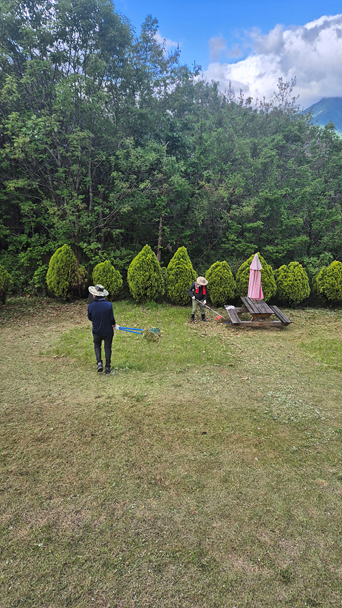 부활동산 벌초(5).jpg