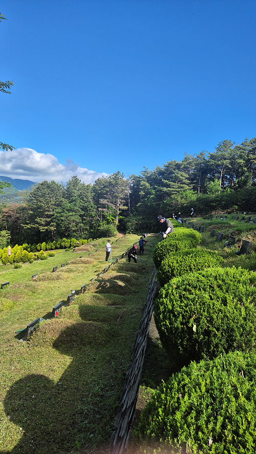 부활동산 벌초(8).jpg