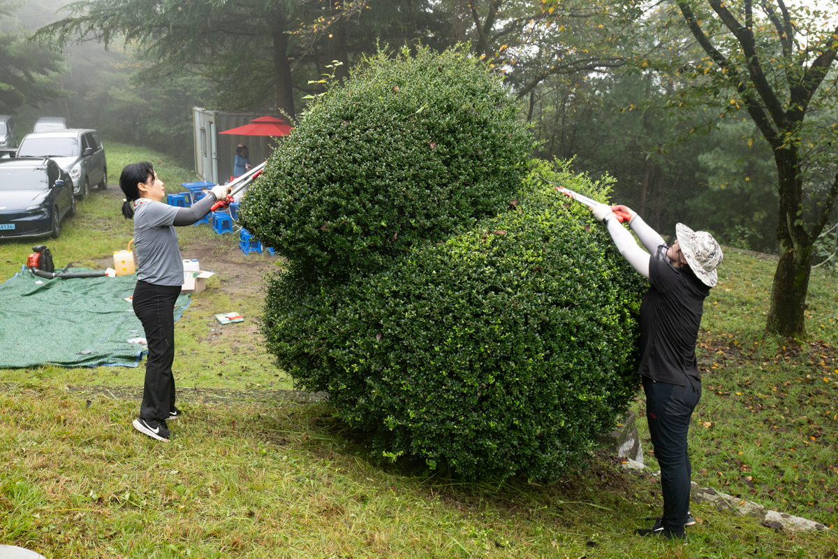 P1015357.jpg