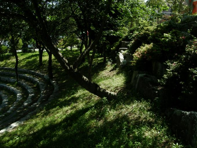 P6110070_01.JPG