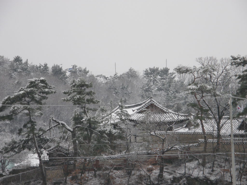 3월의 눈 060.jpg