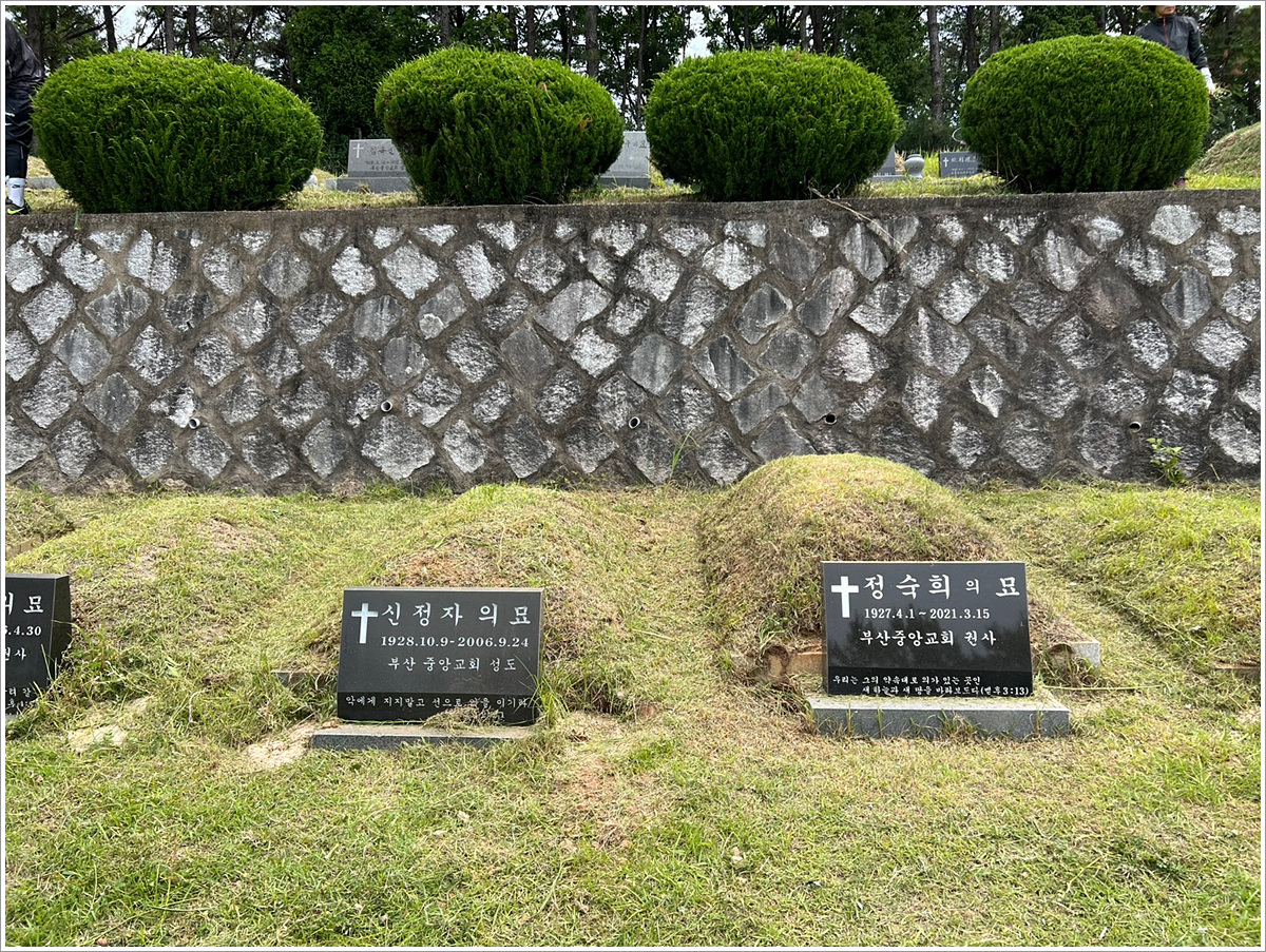 3 벌초 후 (5).jpg