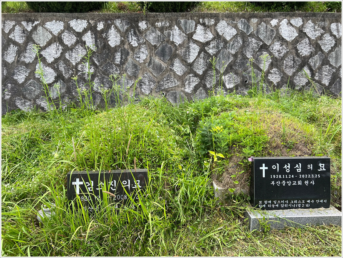 1 벌초 전 (2).jpg