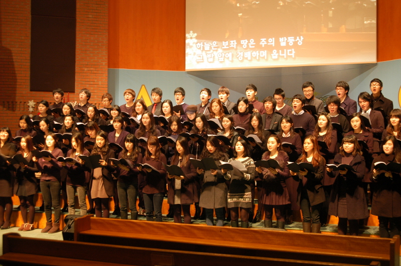 DSC_4503.JPG