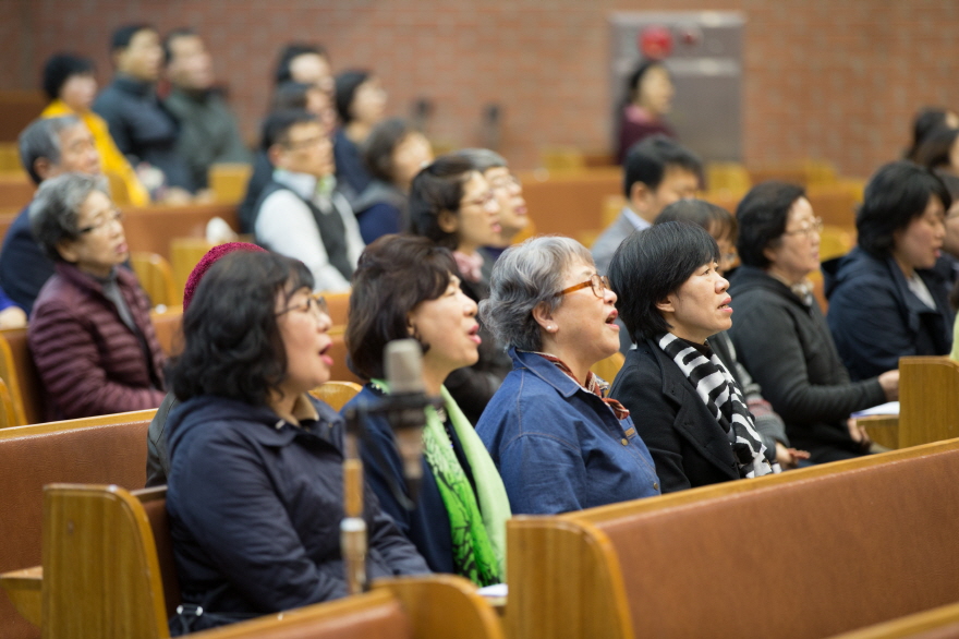 2017 가을사랑축제-34.jpg