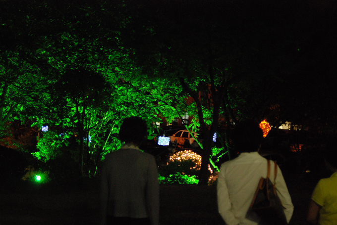 DSC_5275.jpg