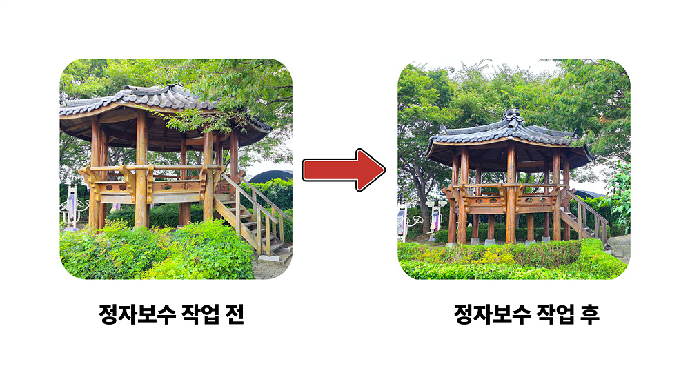 7 정자 작업 (4).jpg