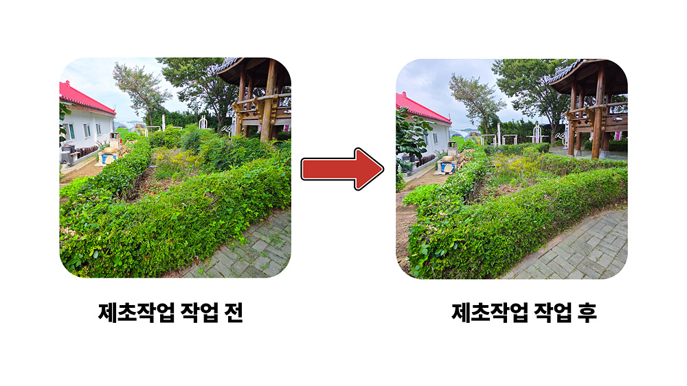 8 제초작업 (9).jpg