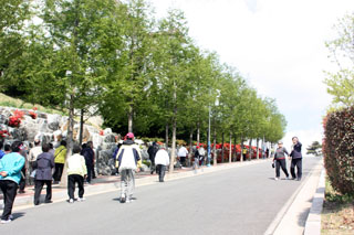 IMG_9967.JPG