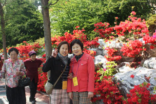 IMG_9972.JPG