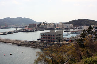 IMG_9982.JPG