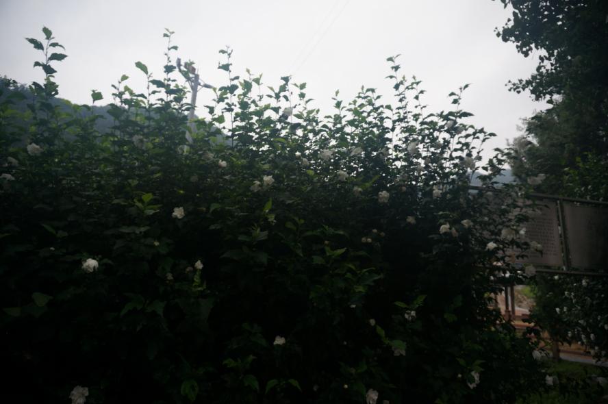 크기변환_DSC06620.JPG