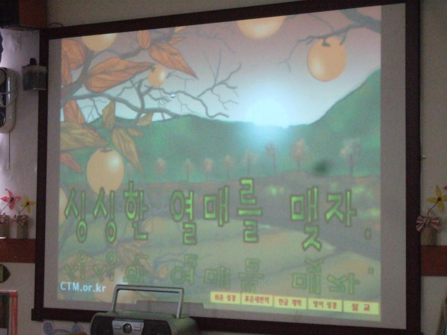 2011_11130019.JPG