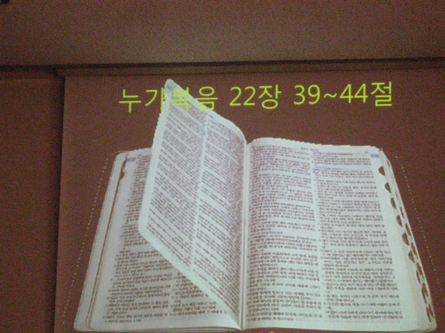 캄코사랑-1 056.JPG